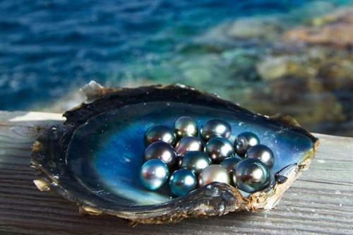 Beautiful Pearls.jpg